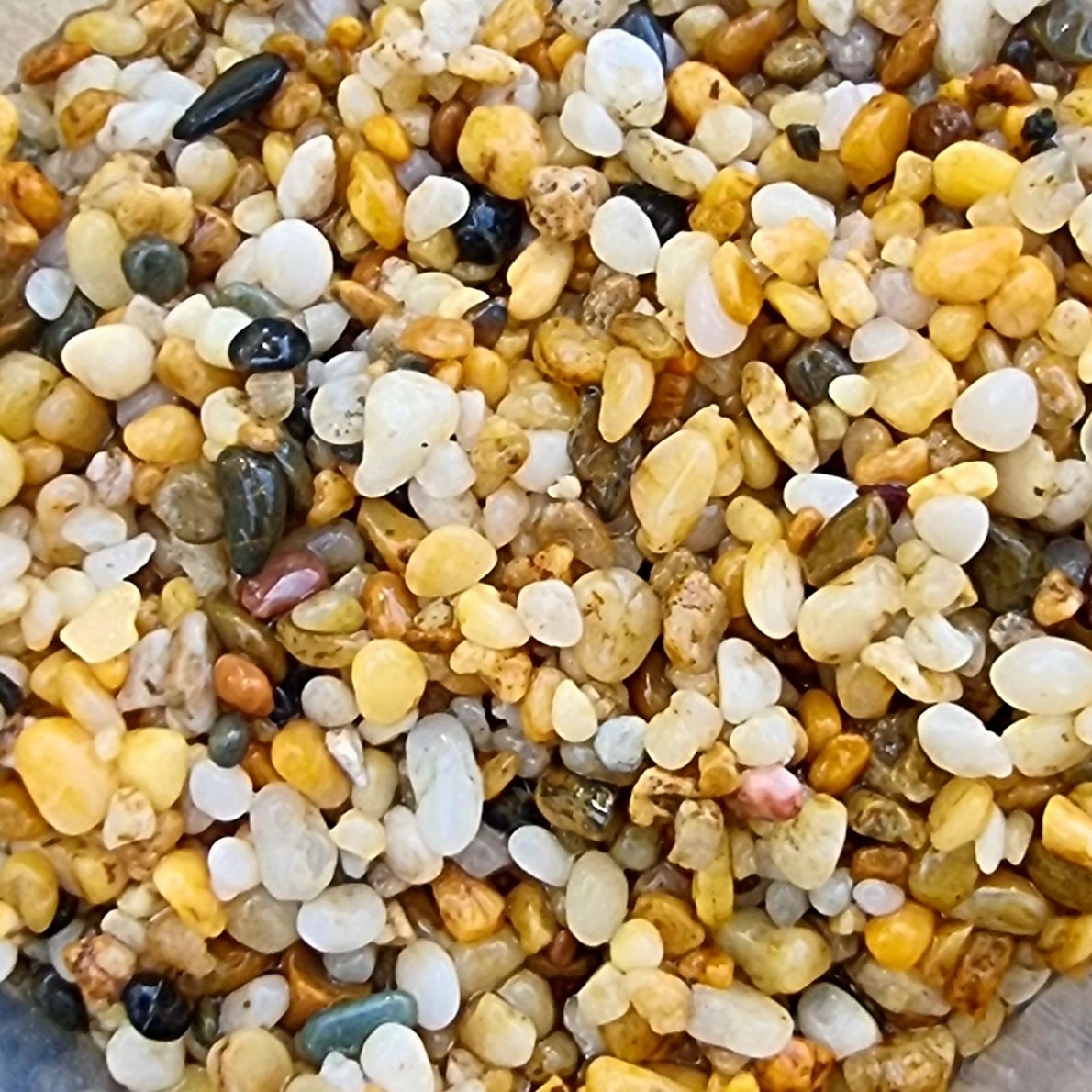 Low Maintenance Aquarium Gravel preview